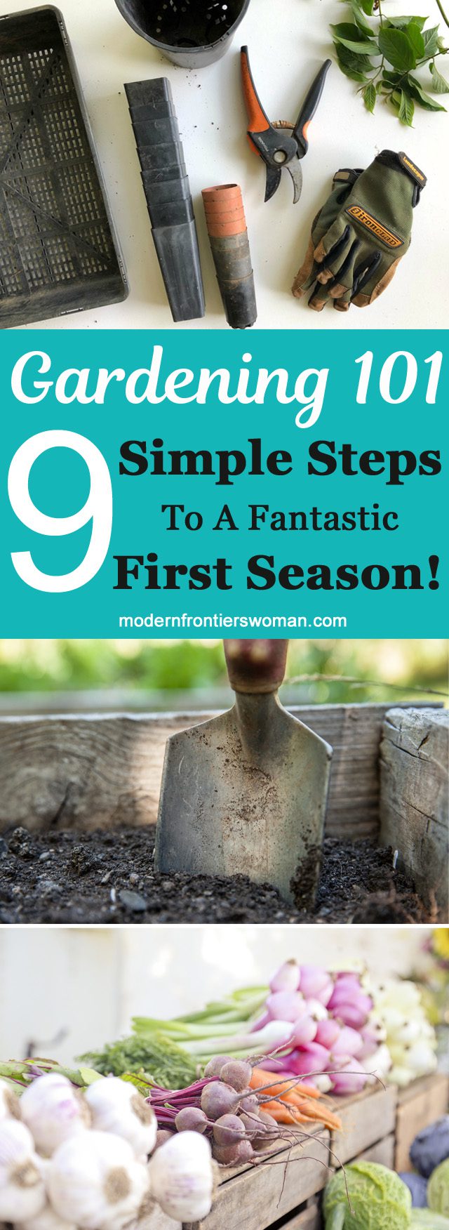 Gardening 101: 9 Simple Steps to a Fantastic First Season! 19 9 Simple Steps to a Fantastic First Season