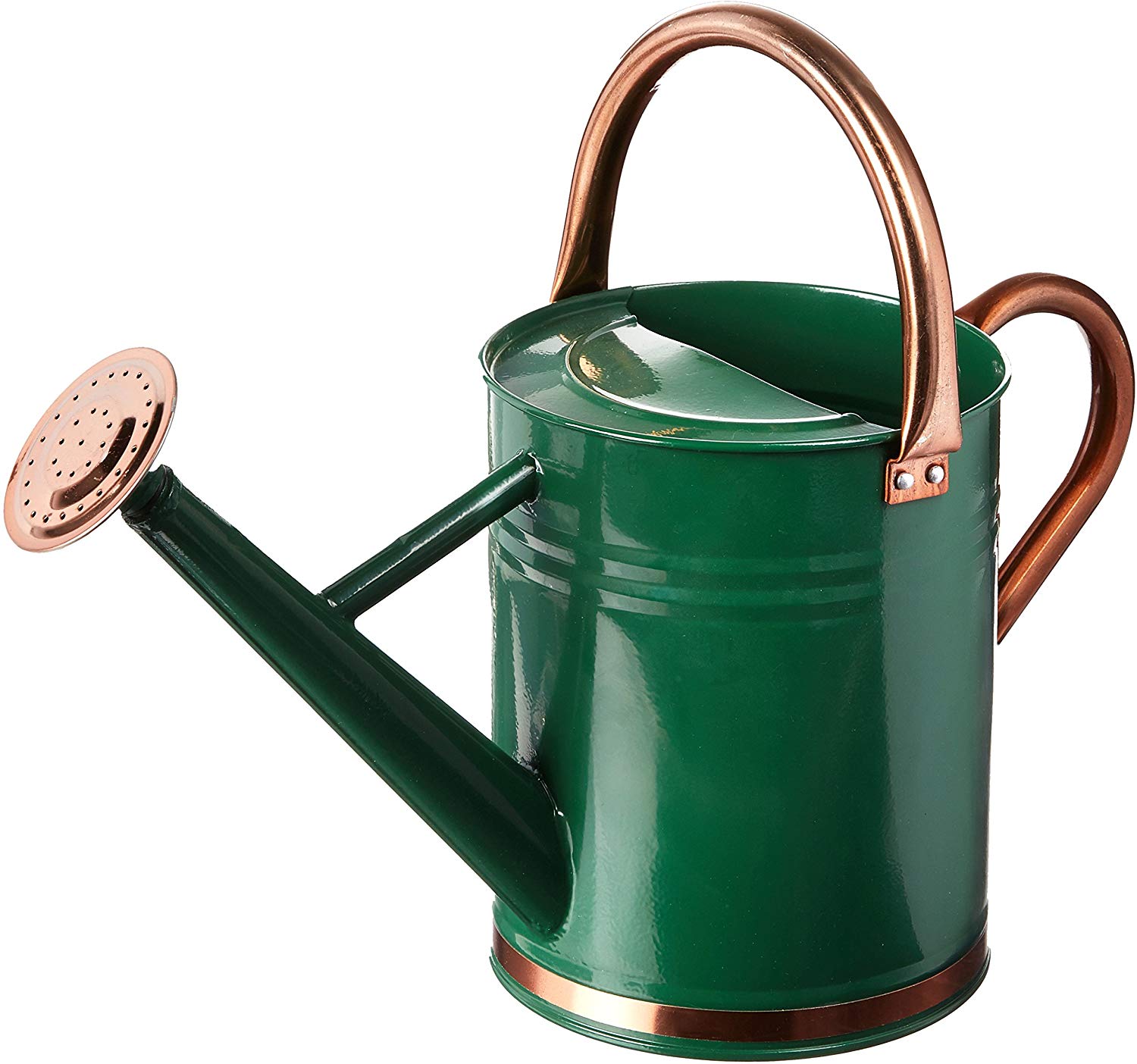 Most Wished for Gardening Accessories! 35 Galvanized Watering Can