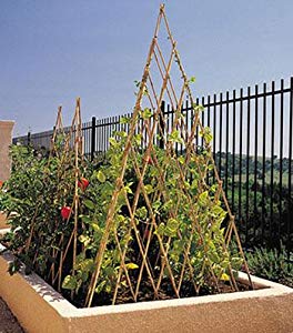 Most Wished for Gardening Accessories! 32 Tepee Trellis