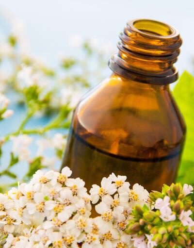 Planning a Survival Garden for Food and Medicine 24 Yarrow Tincture for Healing Wounds Planning a Survival Garden for Food and Medicine