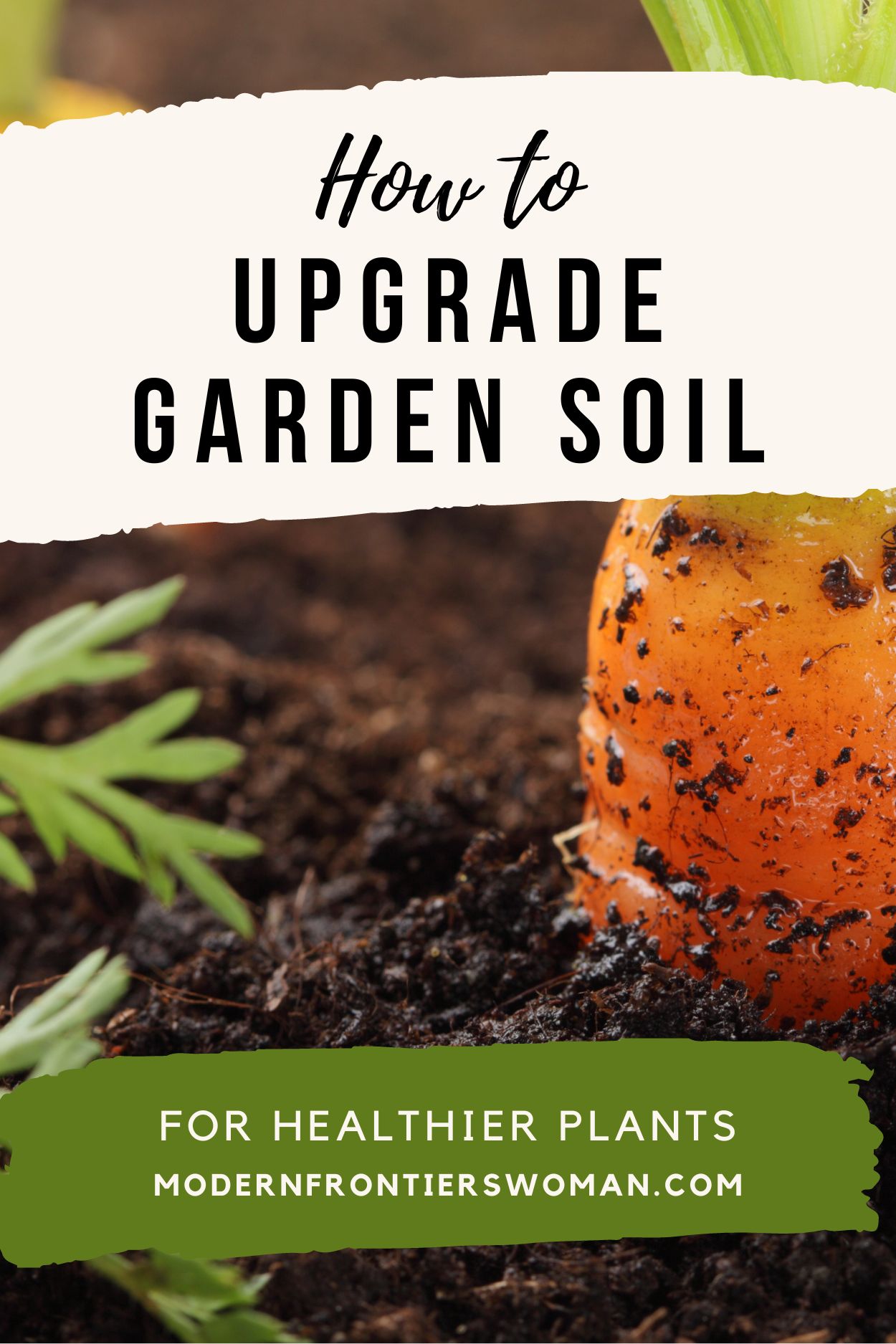 Regenerative Agriculture vs The Bare Soil Dilemma 8 How to Upgrade Garden Soil for Healthier Plants