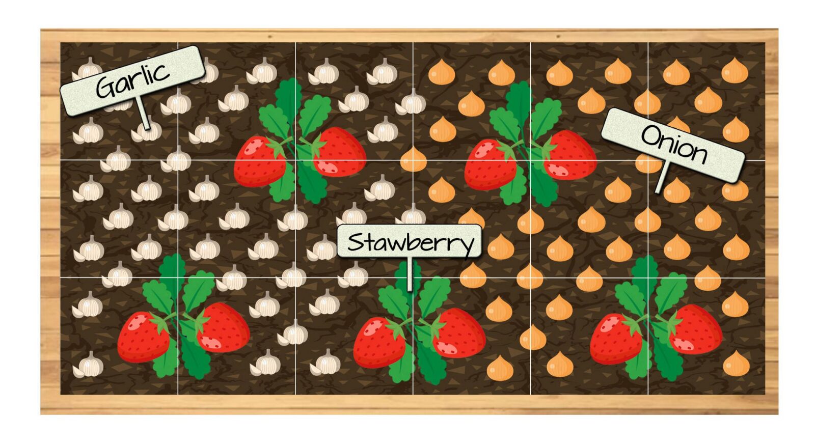 Raised Bed Vegetable Garden Plan 2 - Strawberries, Garlic, and Onion