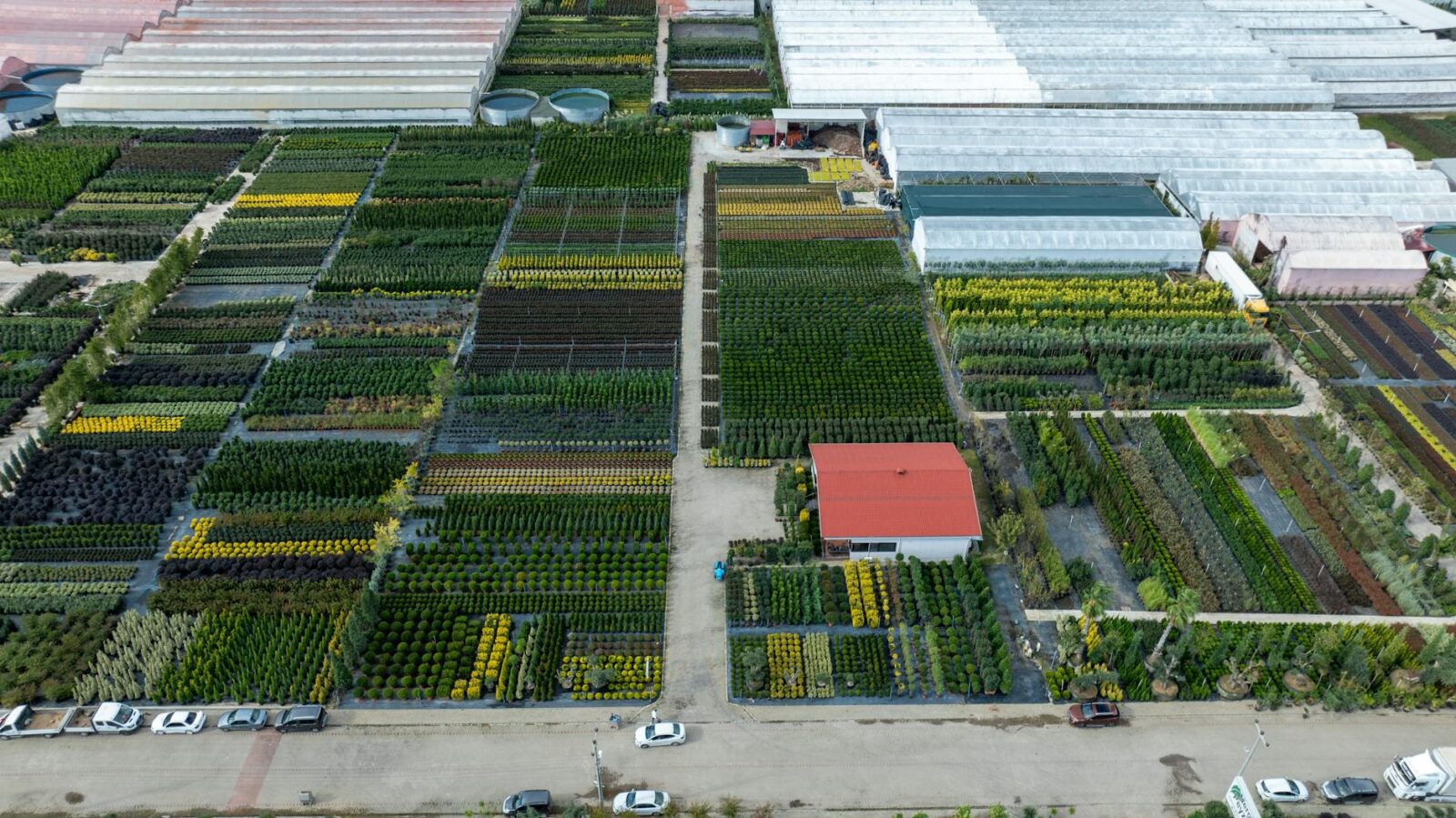 Farm Layout Ideas: Site Plan Designs for Your Homestead