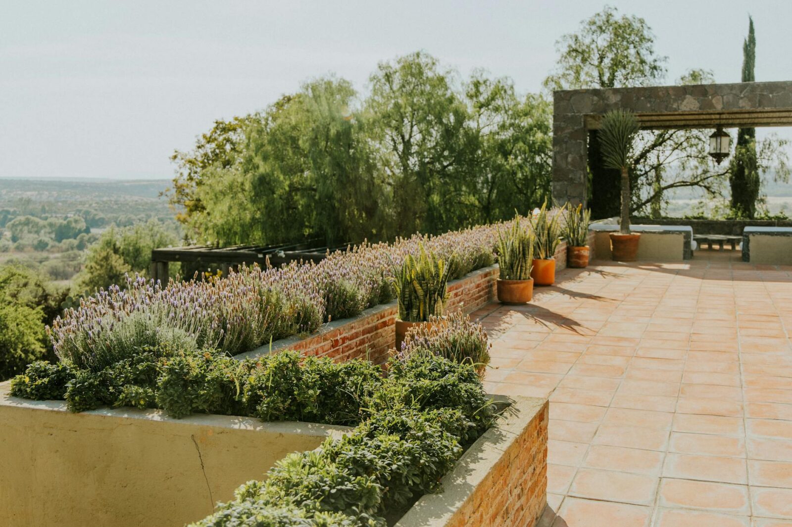 The Ultimate Guide to Indoor/Outdoor Living Spaces 13 peaceful terrace garden with lavenders and succulents The Ultimate Guide to Indoor/Outdoor Living Spaces