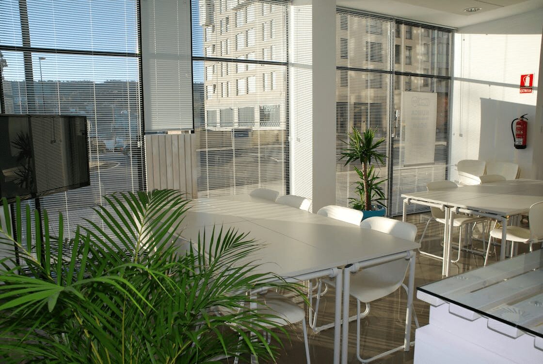 10 Ways to Make Clients Feel Comfortable in Your Office 12 Bright and spacious office space featuring a large table surrounded by white chairs, adorned with indoor plants and ample natural light from large windows. 10 Ways to Make Clients Feel Comfortable in Your Office