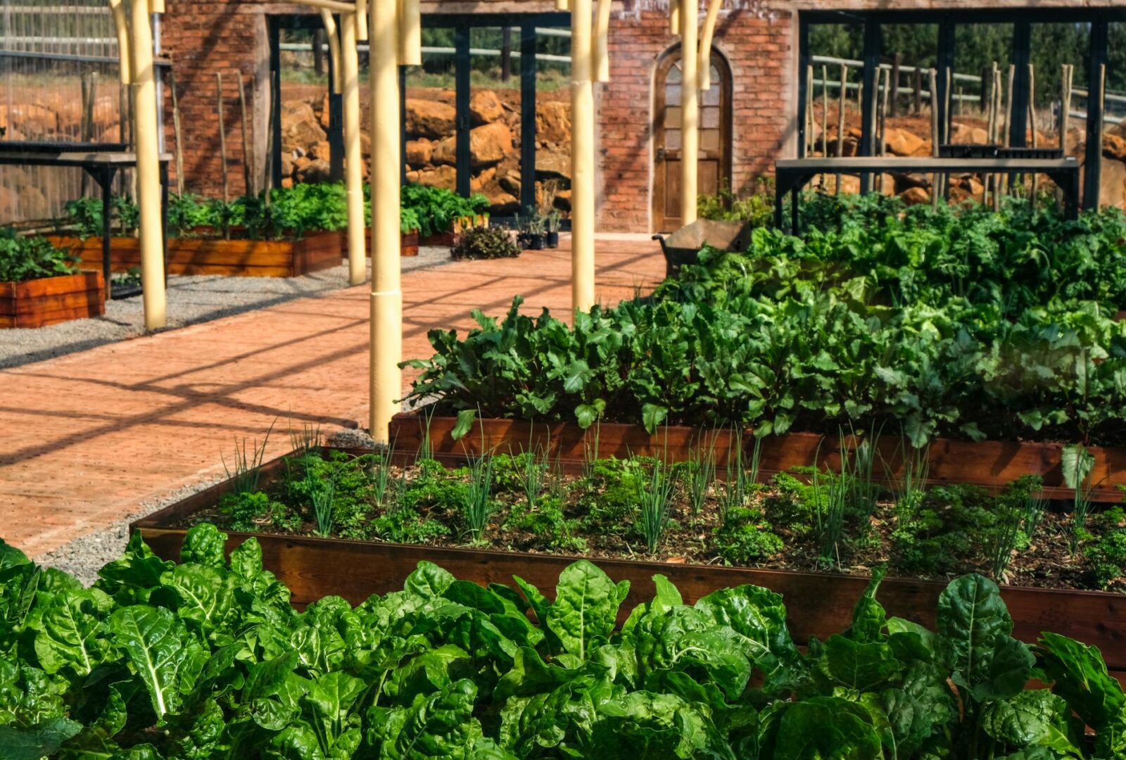 interior of a greenhouse